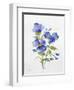 JP3793-Watercolor Flowers-Jean Plout-Framed Giclee Print
