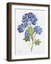 JP3794-Watercolor Flowers-Jean Plout-Framed Giclee Print