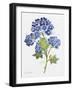 JP3794-Watercolor Flowers-Jean Plout-Framed Giclee Print