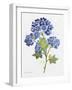 JP3794-Watercolor Flowers-Jean Plout-Framed Giclee Print