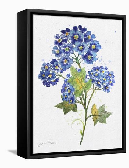 JP3794-Watercolor Flowers-Jean Plout-Framed Stretched Canvas