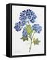 JP3794-Watercolor Flowers-Jean Plout-Framed Stretched Canvas