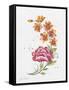 JP3796-Watercolor Flowers-Jean Plout-Framed Stretched Canvas