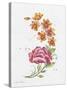 JP3796-Watercolor Flowers-Jean Plout-Stretched Canvas