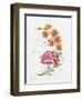 JP3796-Watercolor Flowers-Jean Plout-Framed Giclee Print