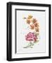 JP3796-Watercolor Flowers-Jean Plout-Framed Giclee Print