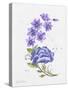 JP3797-Watercolor Flowers-Jean Plout-Stretched Canvas
