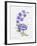 JP3797-Watercolor Flowers-Jean Plout-Framed Giclee Print