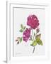 JP3798-Watercolor Flowers-Jean Plout-Framed Giclee Print