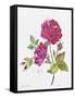 JP3798-Watercolor Flowers-Jean Plout-Framed Stretched Canvas