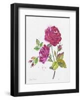 JP3798-Watercolor Flowers-Jean Plout-Framed Giclee Print