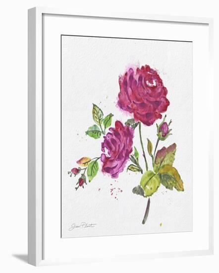 JP3798-Watercolor Flowers-Jean Plout-Framed Giclee Print