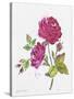 JP3798-Watercolor Flowers-Jean Plout-Stretched Canvas