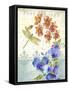 JP3802-Postcard Botanical-Jean Plout-Framed Stretched Canvas