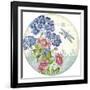 JP3803-Postcard Botanicals-Jean Plout-Framed Giclee Print