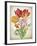 JP3805-Tulip Botanicals-Jean Plout-Framed Giclee Print