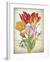 JP3805-Tulip Botanicals-Jean Plout-Framed Giclee Print