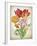 JP3805-Tulip Botanicals-Jean Plout-Framed Giclee Print