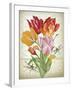 JP3805-Tulip Botanicals-Jean Plout-Framed Giclee Print