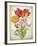 JP3805-Tulip Botanicals-Jean Plout-Framed Giclee Print