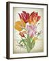 JP3805-Tulip Botanicals-Jean Plout-Framed Giclee Print