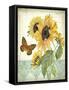 JP3806-Summertime Botanicals-Jean Plout-Framed Stretched Canvas