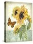 JP3806-Summertime Botanicals-Jean Plout-Stretched Canvas