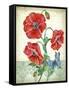 JP3807-Summertime Botanicals-Jean Plout-Framed Stretched Canvas
