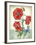 JP3807-Summertime Botanicals-Jean Plout-Framed Giclee Print