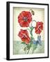 JP3807-Summertime Botanicals-Jean Plout-Framed Giclee Print