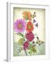 JP3809-Summertime Botanicals-Jean Plout-Framed Giclee Print