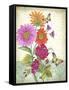 JP3809-Summertime Botanicals-Jean Plout-Framed Stretched Canvas