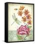 JP3810-Summertime Botanicals-Jean Plout-Framed Stretched Canvas