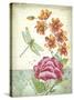JP3810-Summertime Botanicals-Jean Plout-Stretched Canvas