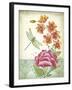 JP3810-Summertime Botanicals-Jean Plout-Framed Giclee Print