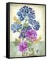 JP3811-Summertime Botanicals-Jean Plout-Framed Stretched Canvas