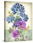 JP3811-Summertime Botanicals-Jean Plout-Stretched Canvas