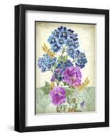 JP3811-Summertime Botanicals-Jean Plout-Framed Giclee Print