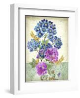 JP3811-Summertime Botanicals-Jean Plout-Framed Giclee Print