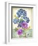 JP3811-Summertime Botanicals-Jean Plout-Framed Giclee Print