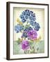 JP3811-Summertime Botanicals-Jean Plout-Framed Giclee Print