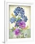 JP3811-Summertime Botanicals-Jean Plout-Framed Giclee Print