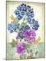 JP3811-Summertime Botanicals-Jean Plout-Mounted Giclee Print