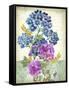 JP3811-Summertime Botanicals-Jean Plout-Framed Stretched Canvas