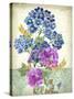 JP3811-Summertime Botanicals-Jean Plout-Stretched Canvas