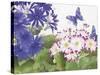 JP3831-Florals And Butterflies-Jean Plout-Stretched Canvas