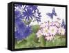 JP3831-Florals And Butterflies-Jean Plout-Framed Stretched Canvas