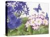 JP3831-Florals And Butterflies-Jean Plout-Stretched Canvas