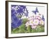 JP3831-Florals And Butterflies-Jean Plout-Framed Giclee Print