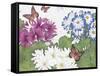 JP3832-Florals And Butterflies-Jean Plout-Framed Stretched Canvas